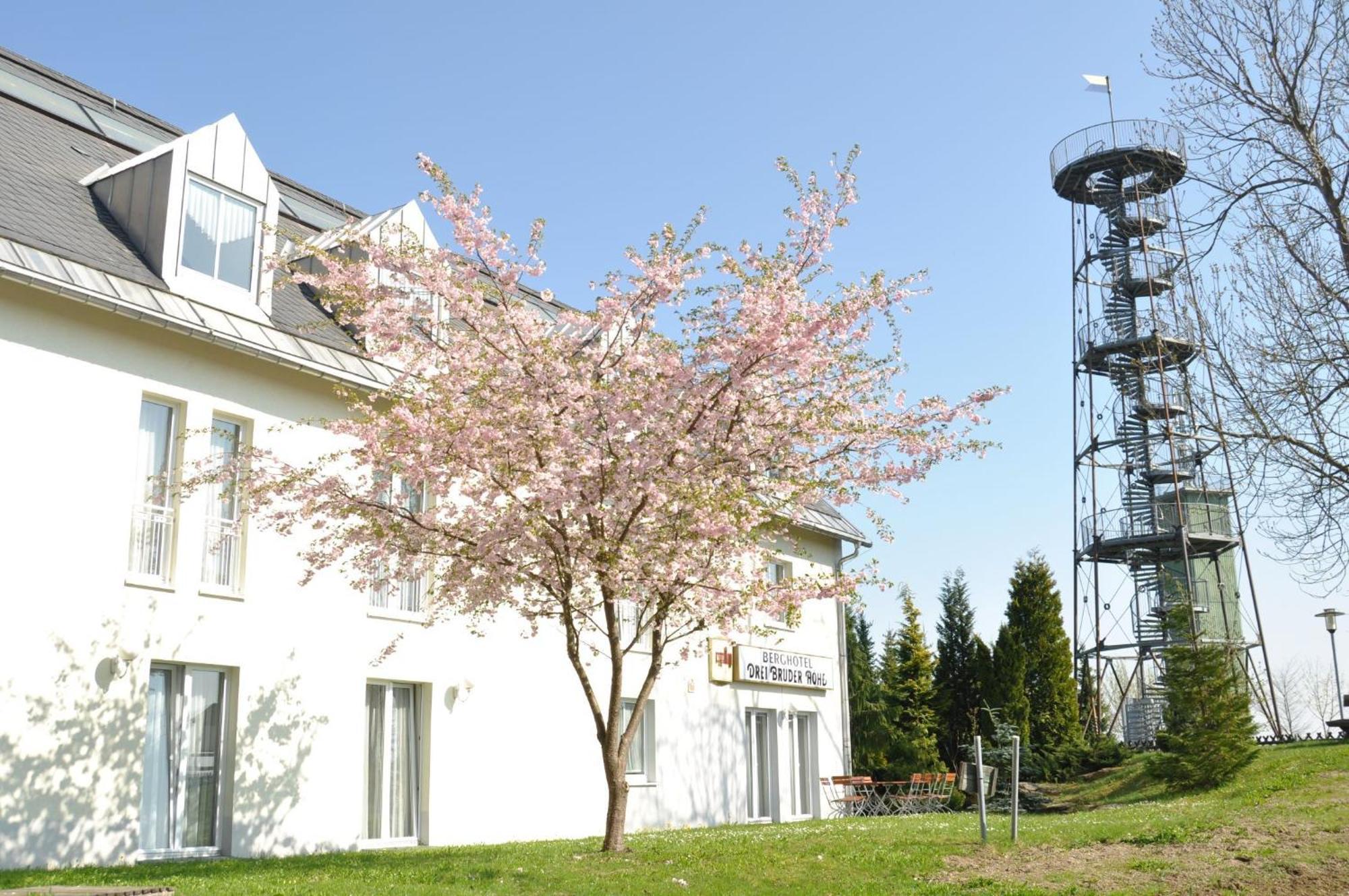 Berghotel Drei Brueder Hoehe Мариенберг Екстериор снимка